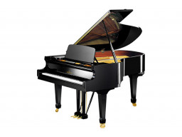 A 190 NEGRO
